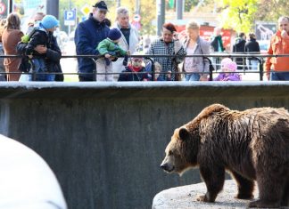Варшавський зоопарк відкриває нову браму